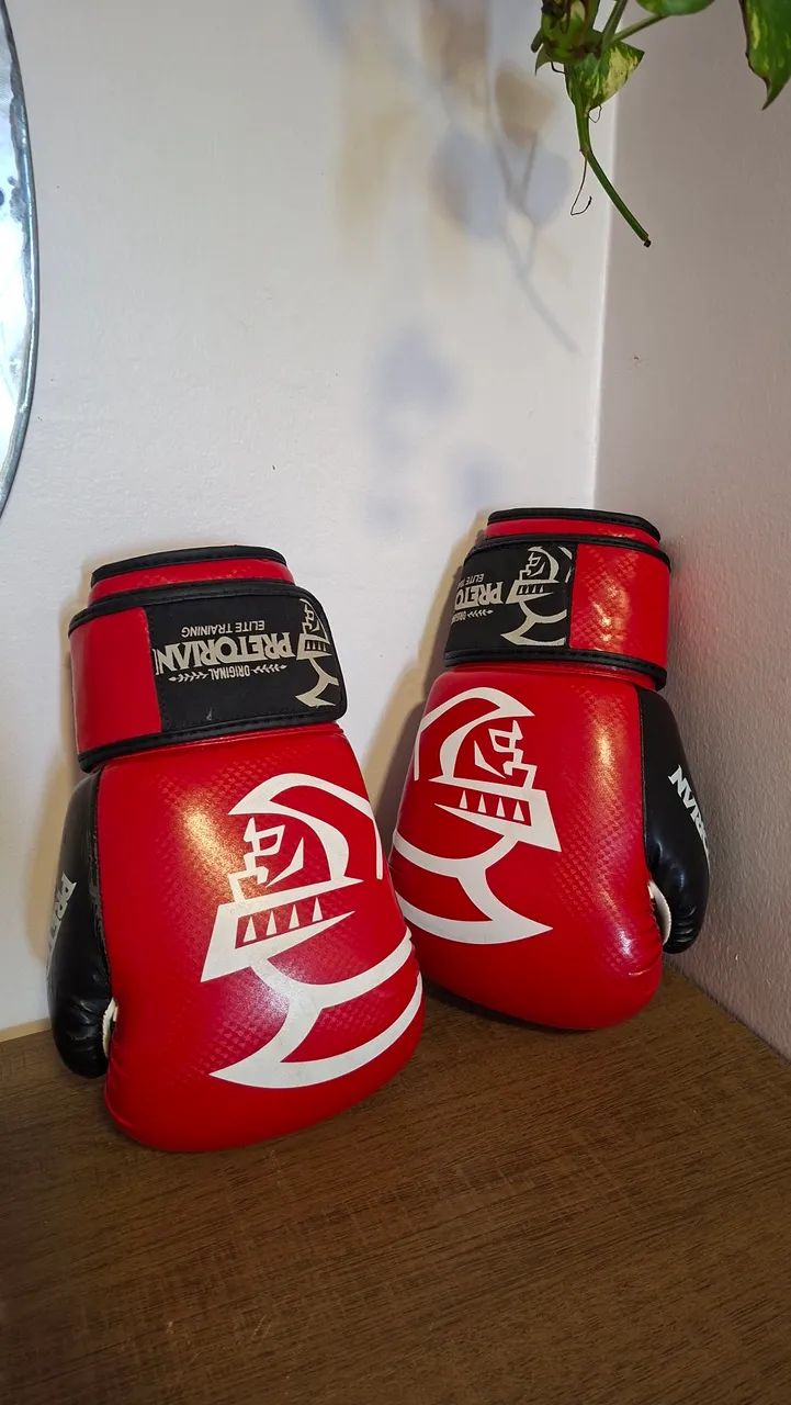 Luvas de box 