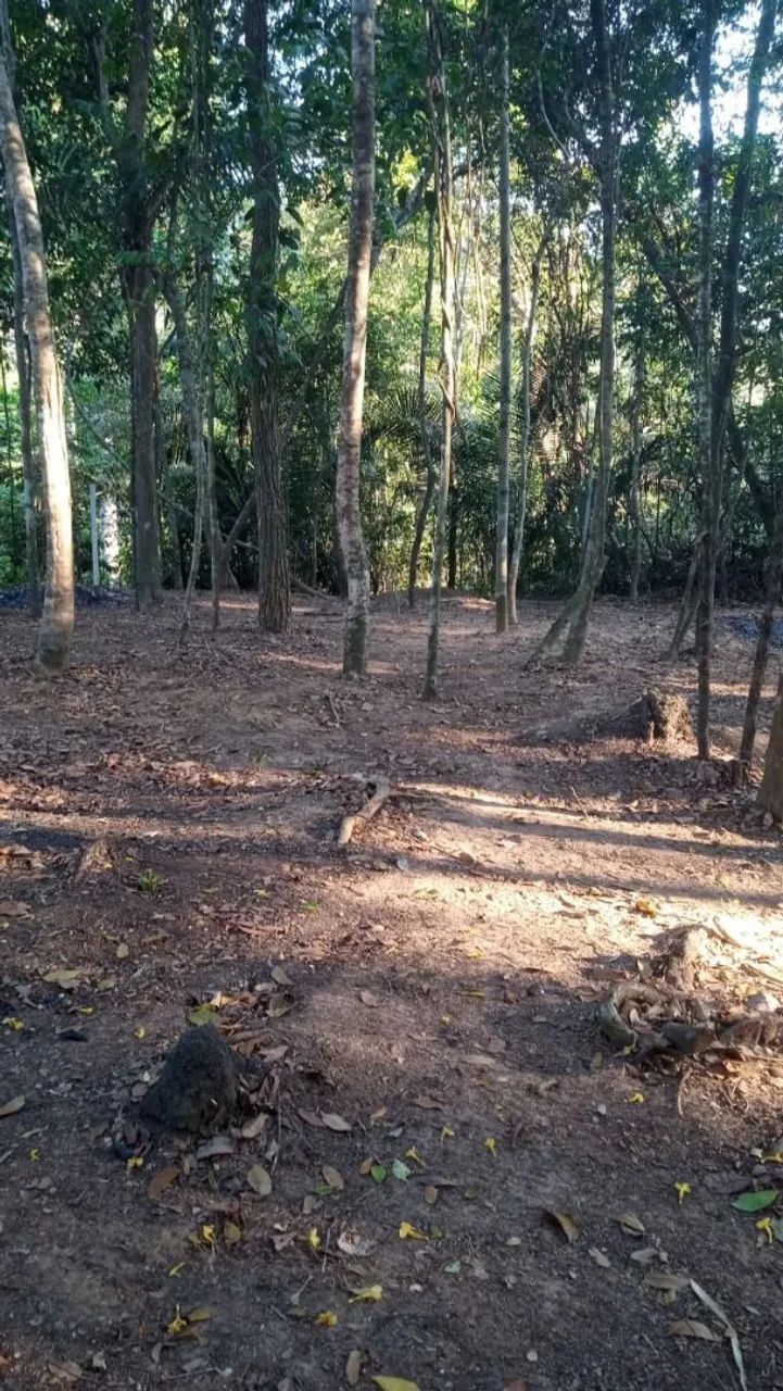Terreno em Belterra com igarapé  - Foto 5