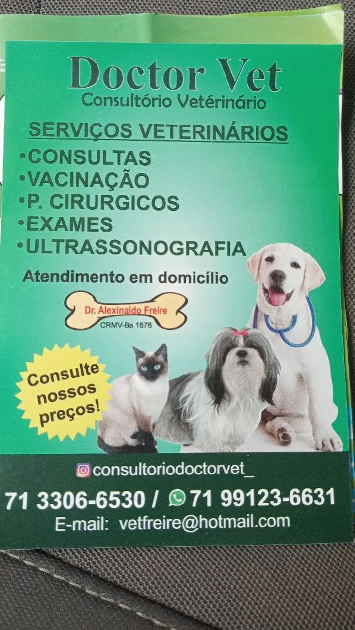 Veterinário a domicílio 