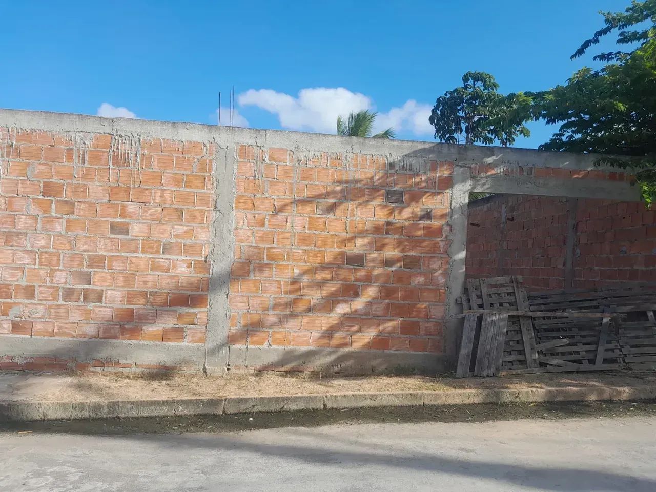 terreno no parque das palmeiras - Foto 2