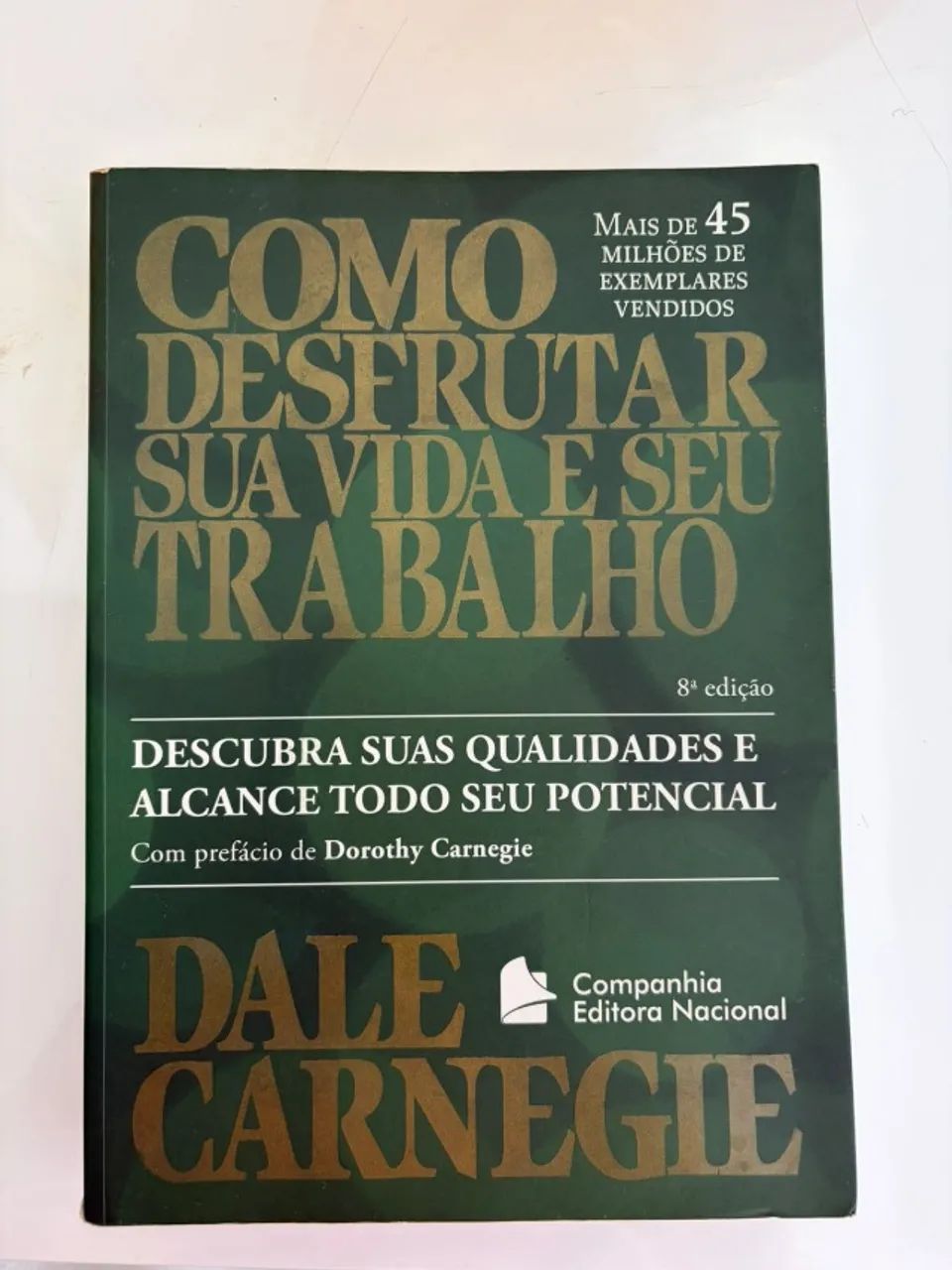 Como Desfrutar Sua Vida e seu Trabalho