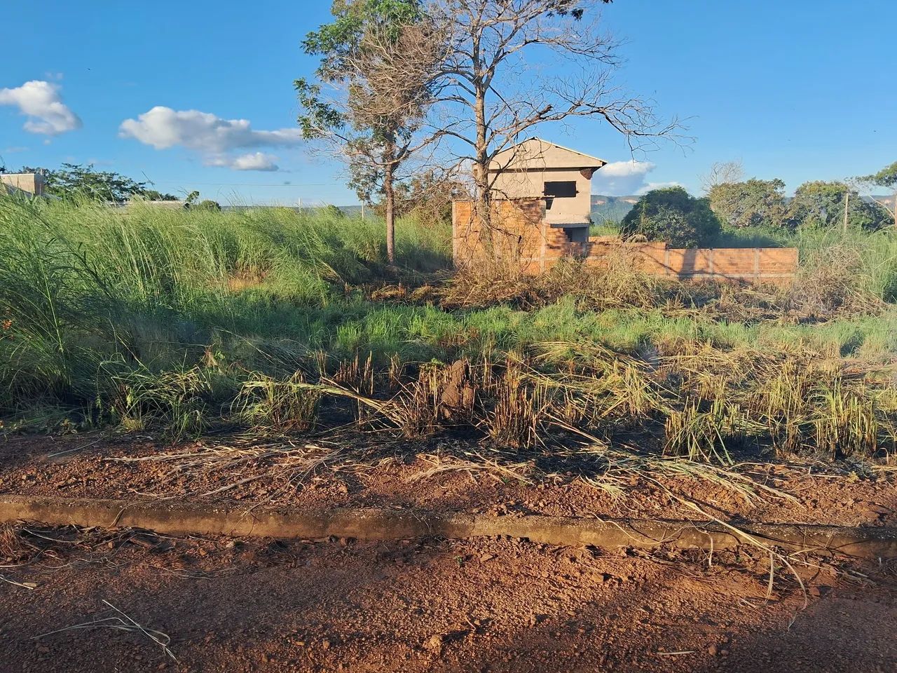 Vendo lote no setor mirante agua fria - Foto 3