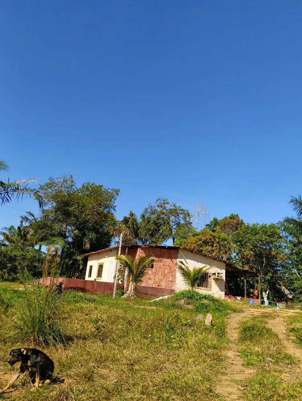 Vendo casa tipo chácara  - Foto 3