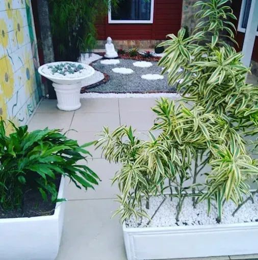 jardim - Foto 5