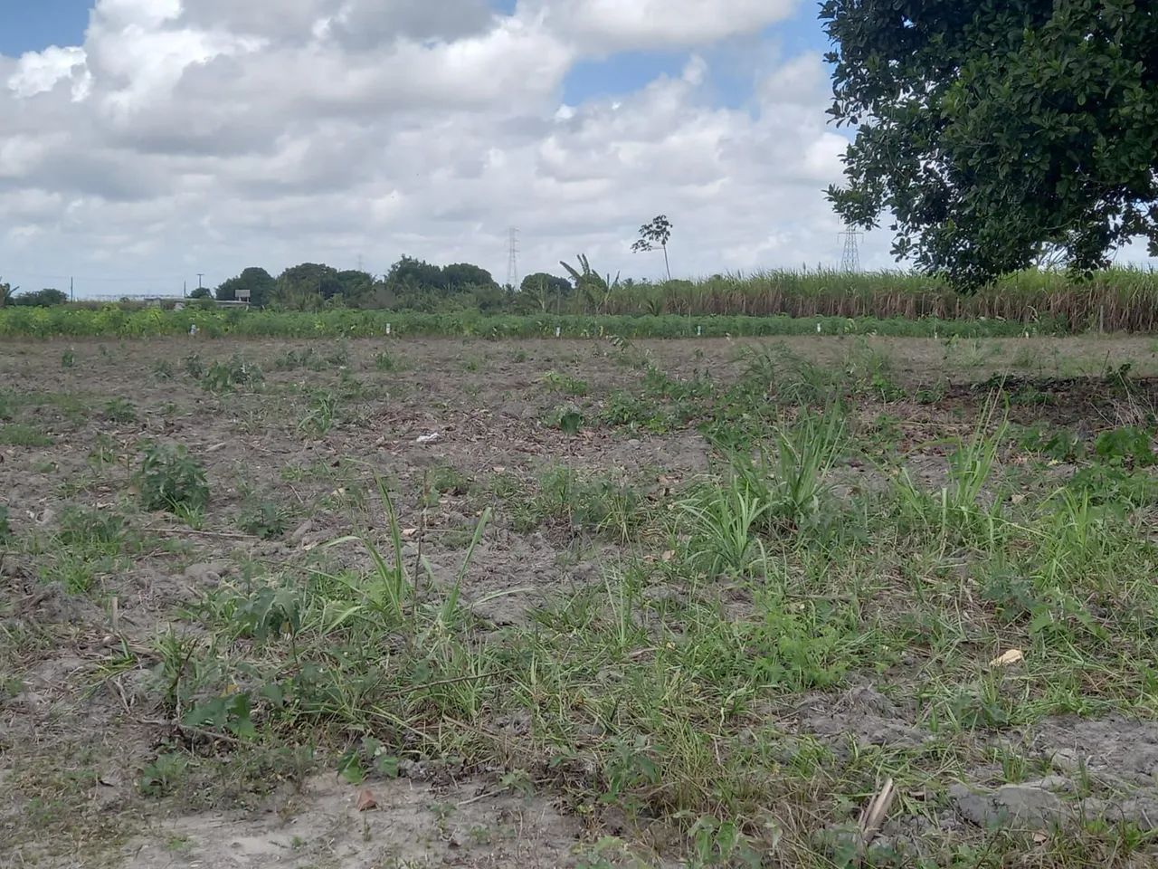 Vendo Terreno plano, maravilhoso, pronto para construir sua casa de campo