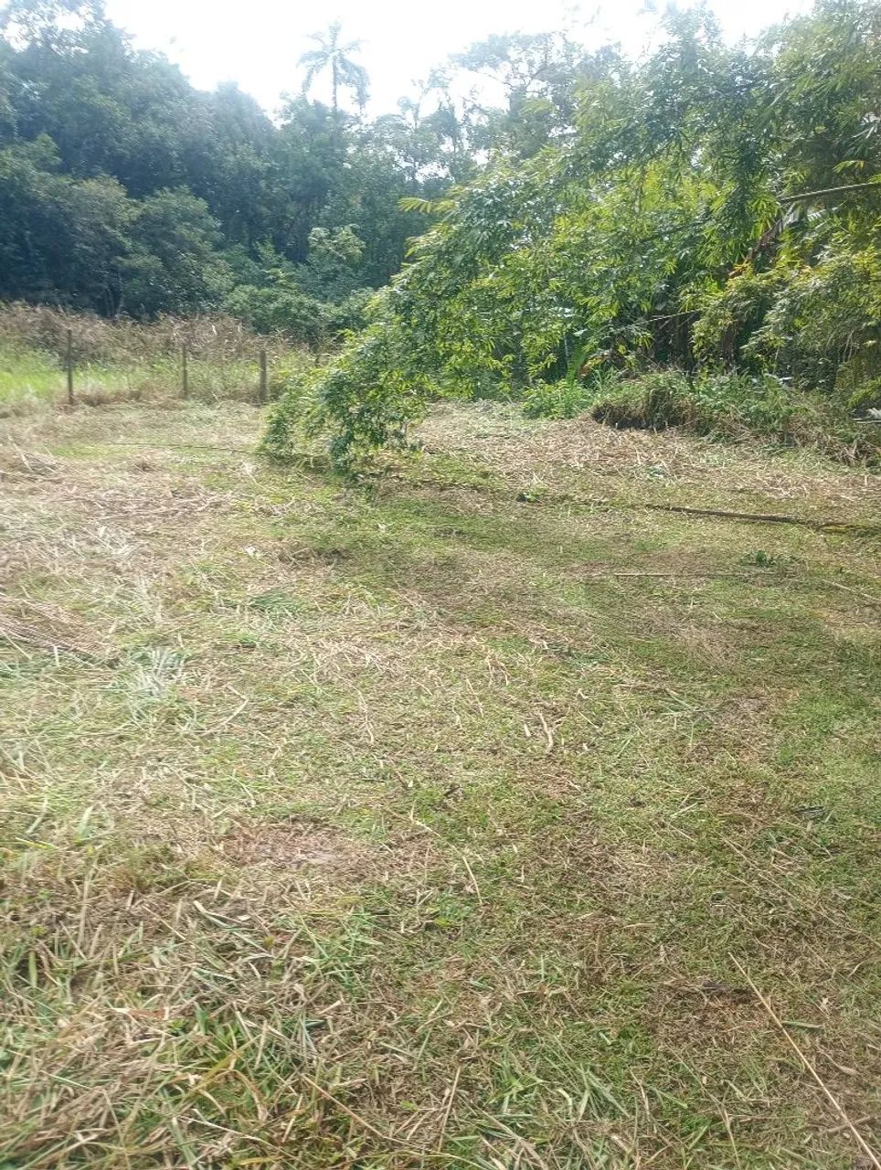 Área com 5000m2 e lago com Aprox. 800m2 sem casa  - Foto 4