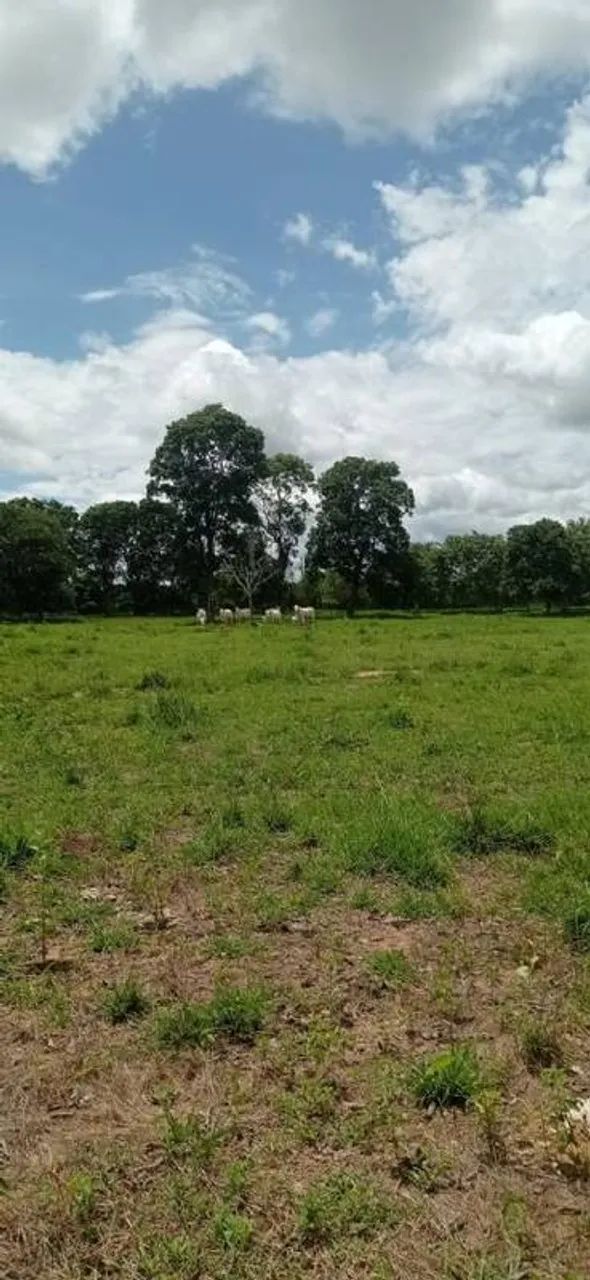 Vende-se 2,4 alqueires - Britânia - Go - Foto 3