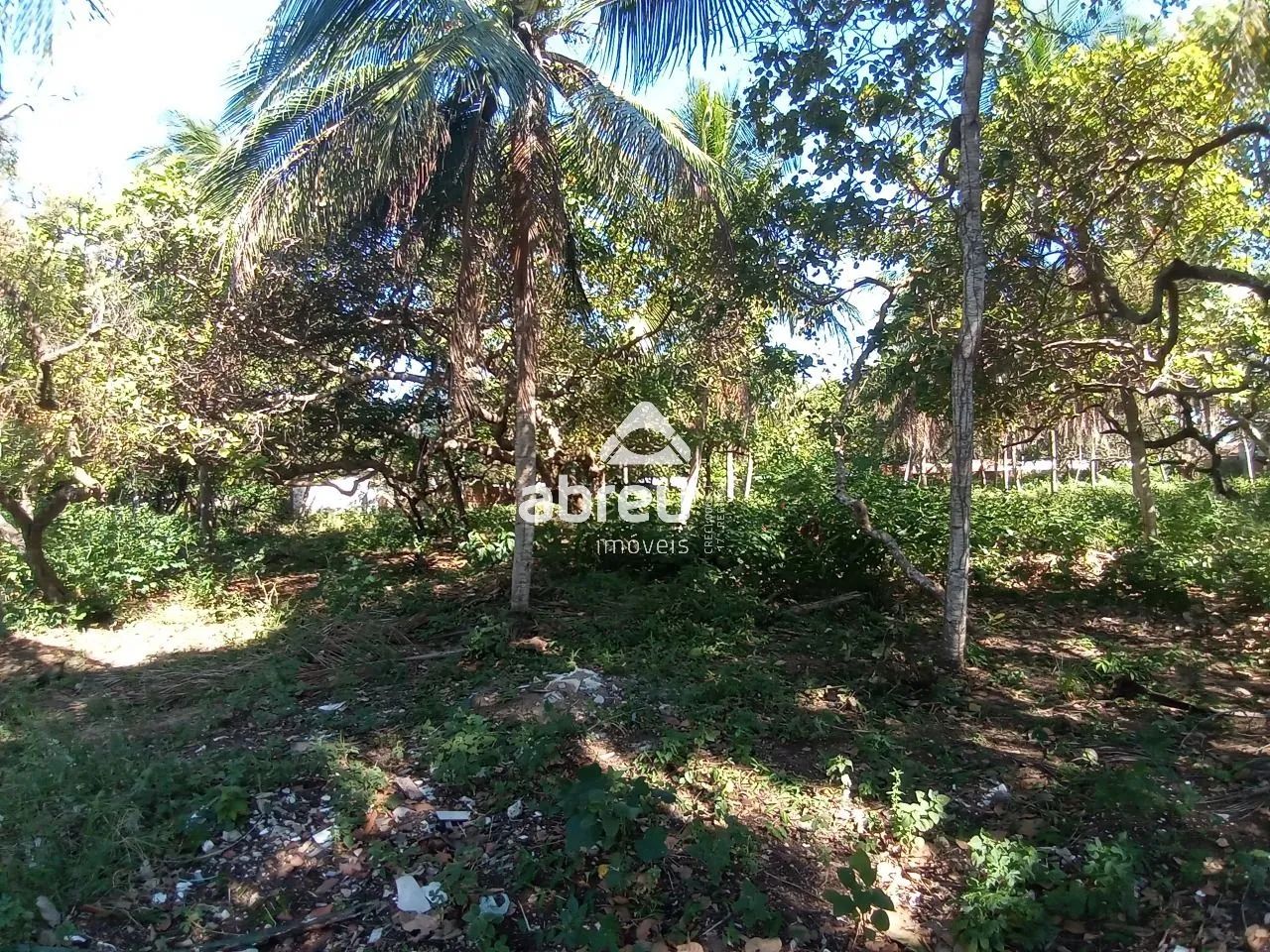 Terrenos Área em Natal - Foto 2