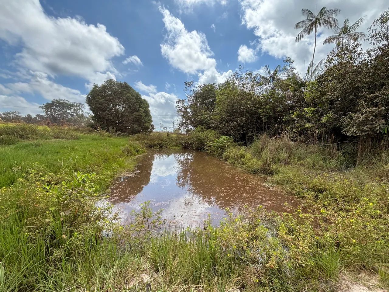 FAZENDA À VENDA - ANAPU/PA - Foto 4