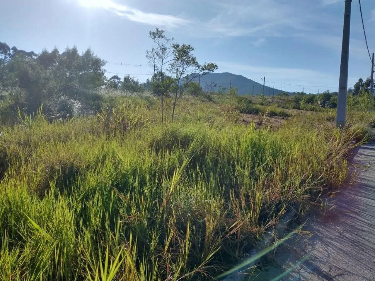 Terreno à venda em Governador Celso Ramos - Foto 2