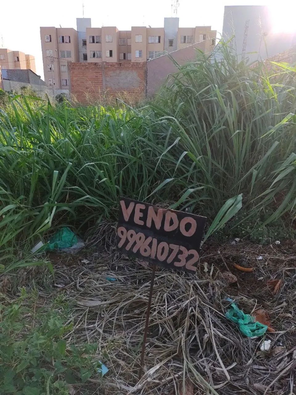 Terreno em Sertãozinho  - Foto 5