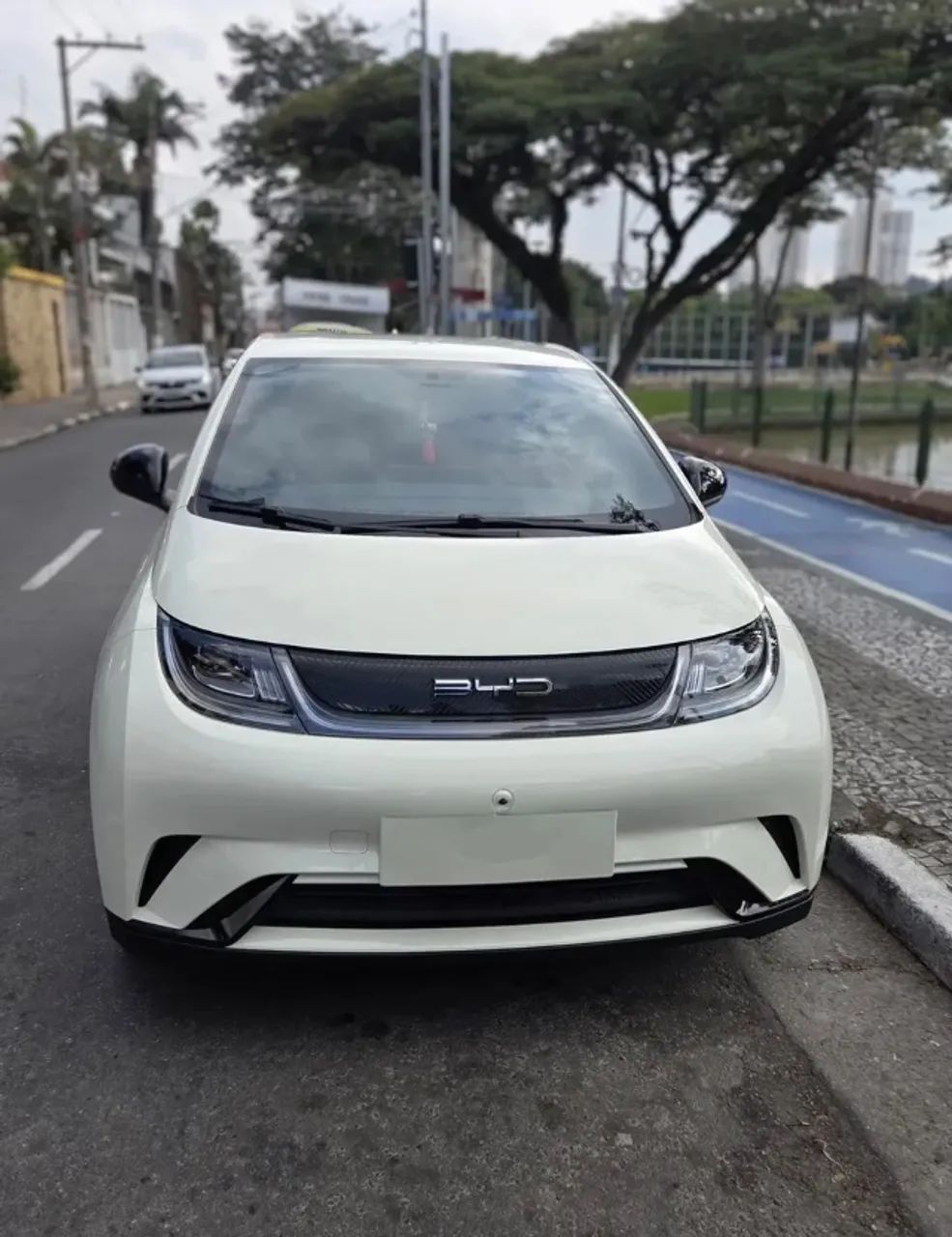 BYD Dolphin EV (Elétrico) 2024