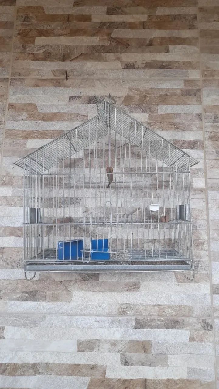 Gaiola usada - Foto 2