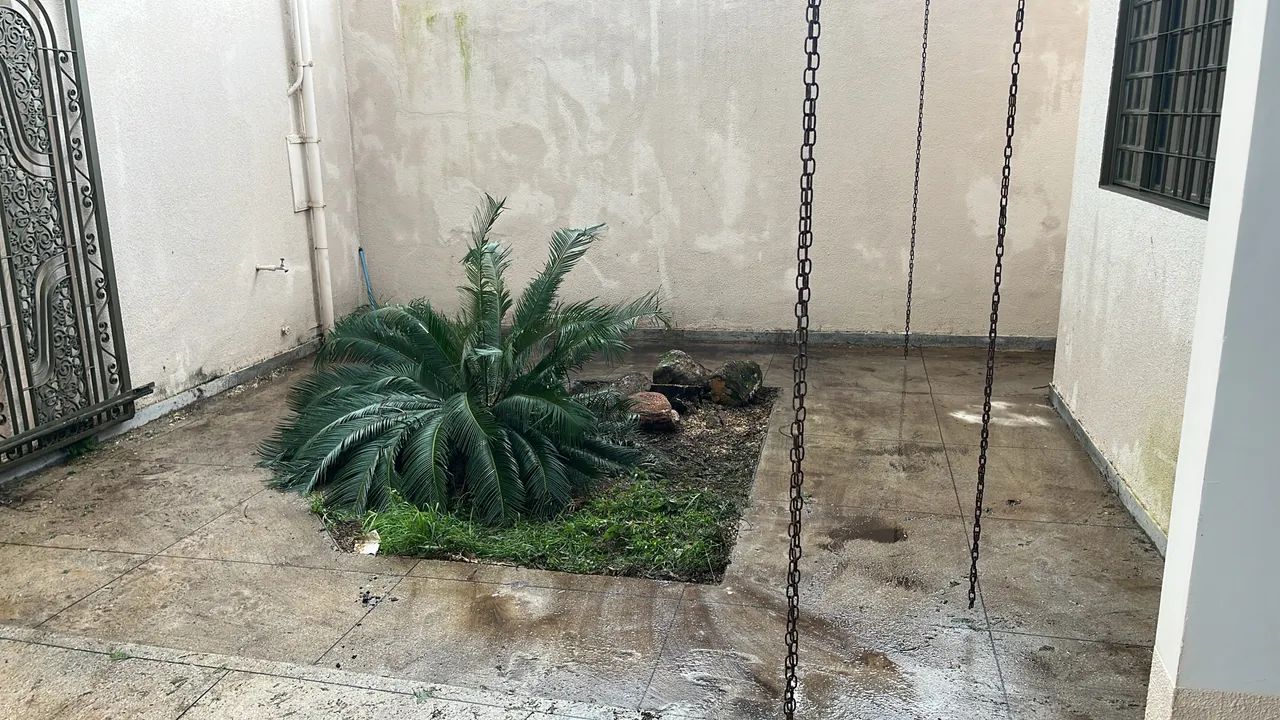 Roçagem e podas  - Foto 2