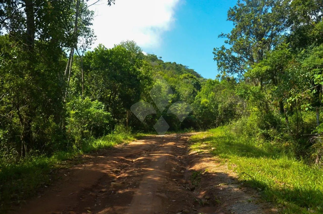 Terreno com 9 hectares no bairro Macacu, Garopaba-SC - Foto 3