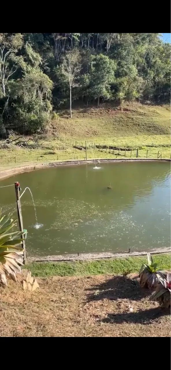 ? OPORTUNIDADE ÚNICA! SÍTIO À VENDA  - Foto 3