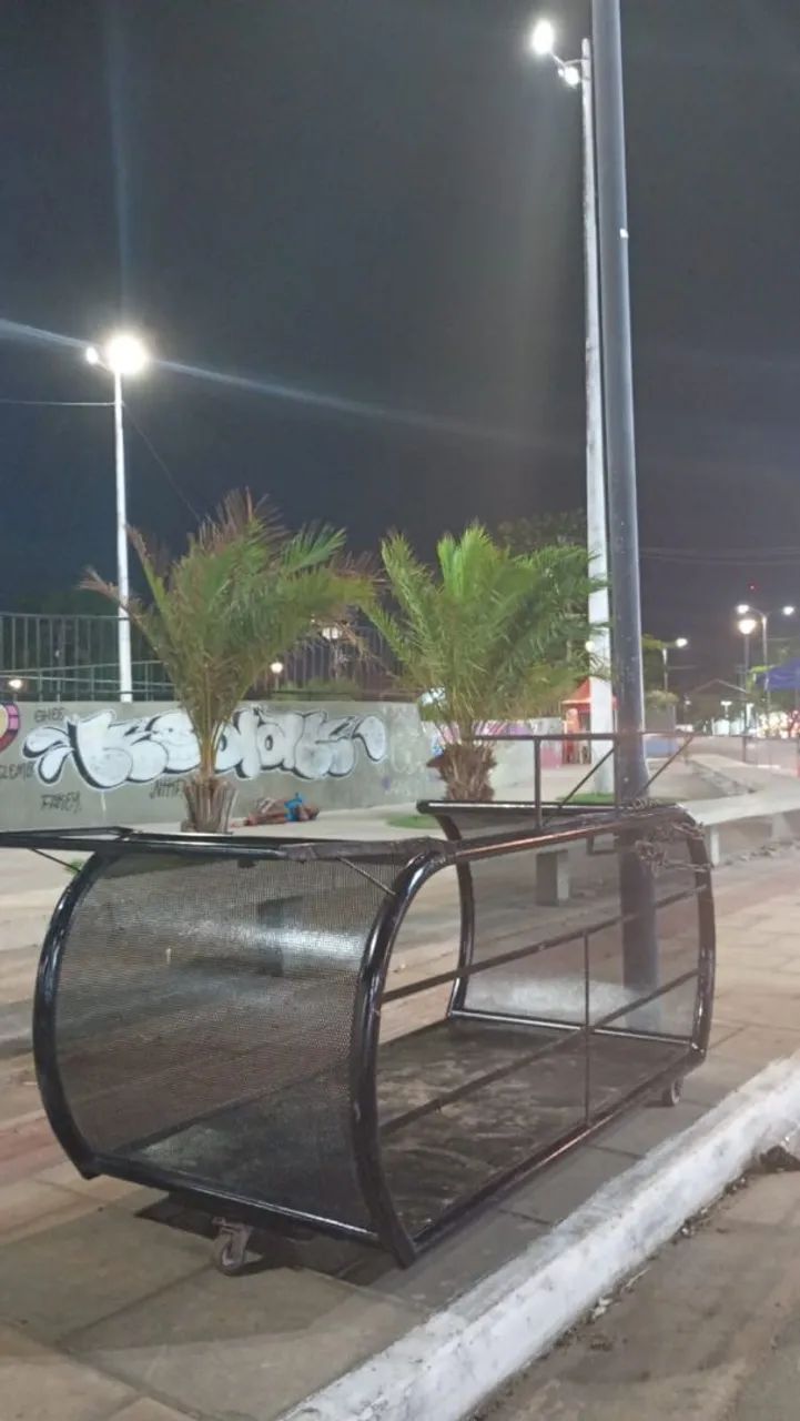 Vendo este carrinho - Foto 3