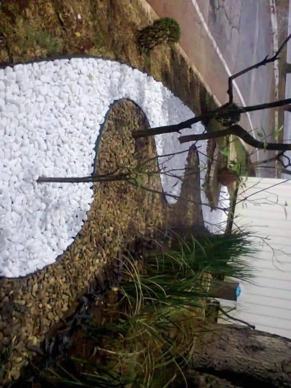 Sou jardineiro faço serviços - Foto 3