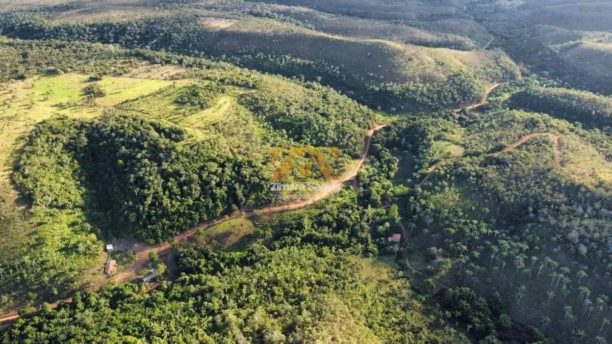 Fazenda com 10 Alqueires na Zona Rural de Palmas - Sentido Lajeado á 45 km do Centro - Foto 5