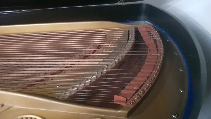 Piano de cauda marca alemã C. Bechstein - Foto 2