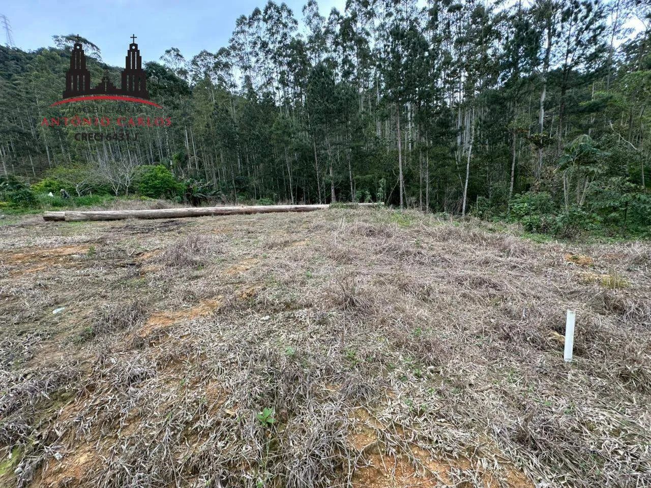 Sítio à venda no Egito, um refúgio em meio à natureza!