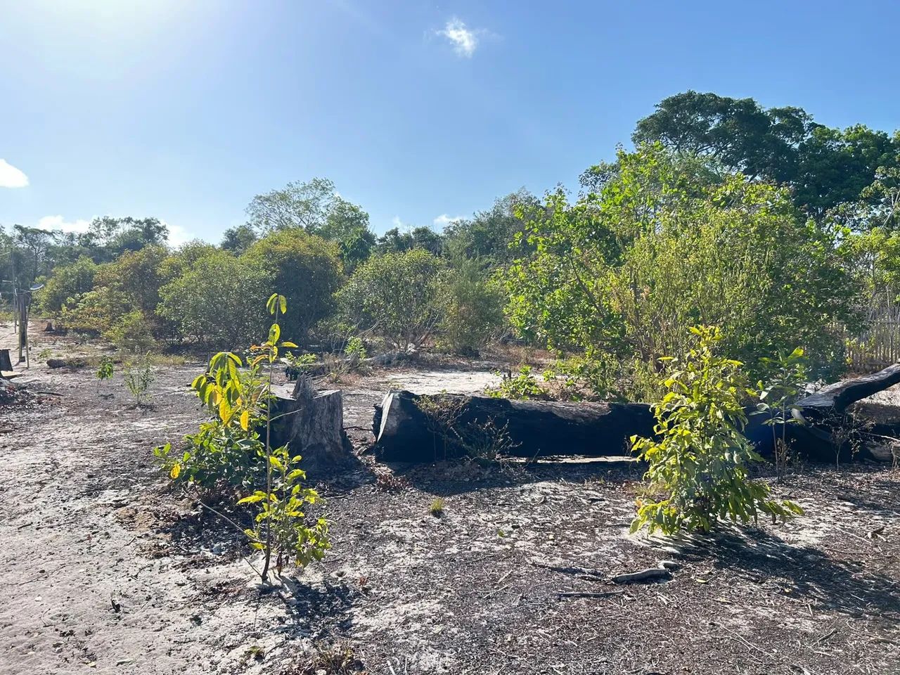 Sitio na Ponta de Pedra  - Foto 5