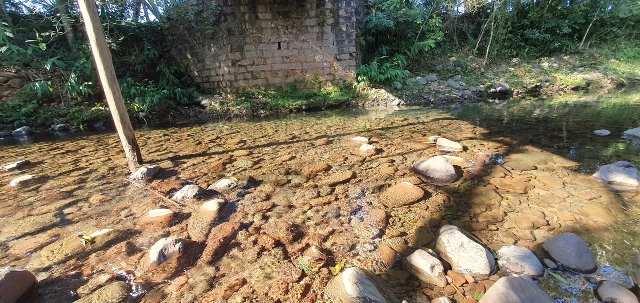 Lindo Sítio a venda no Bairro São Francisco - Nova Veneza - Foto 3