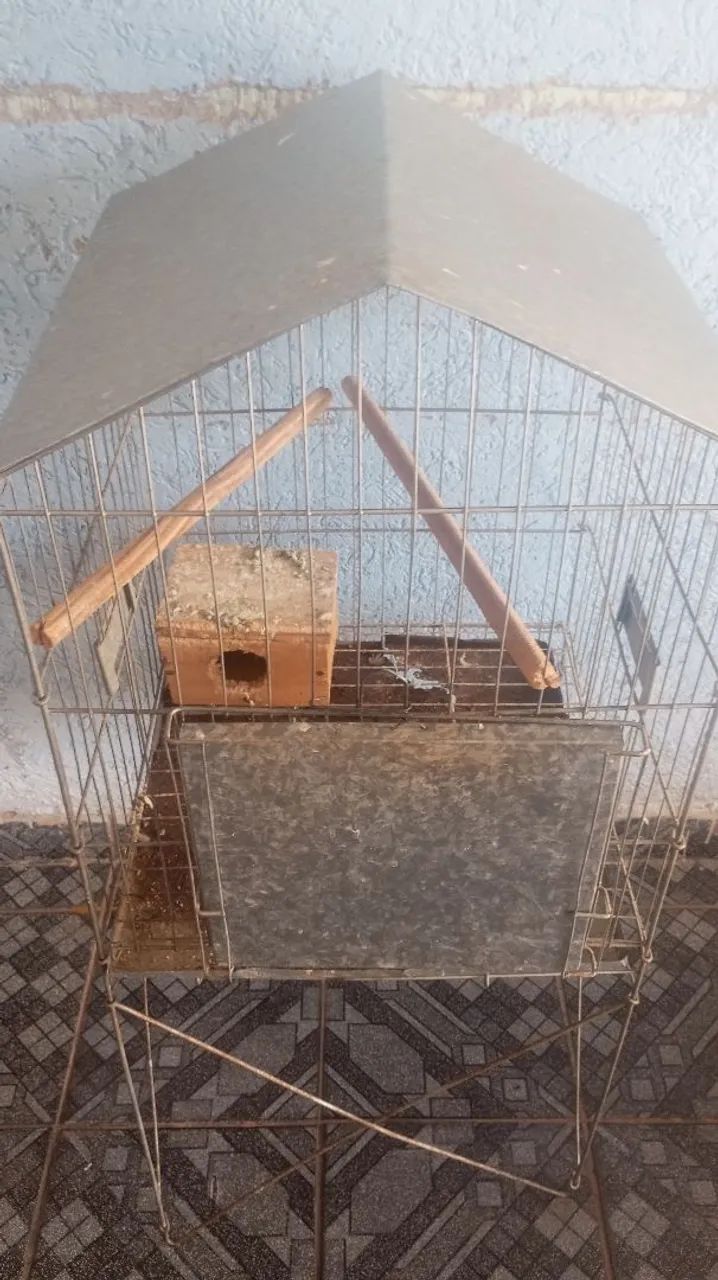 Gaiola grande  - Foto 2