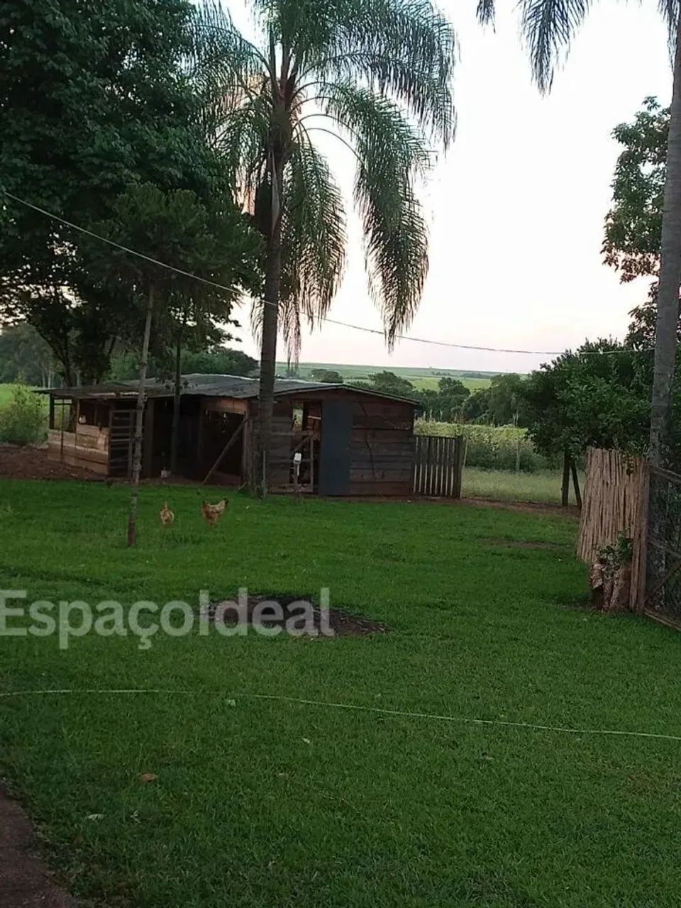 Vende se e Aluga Residencia em um sitio na Farturinha (lençois paulista) - Foto 3