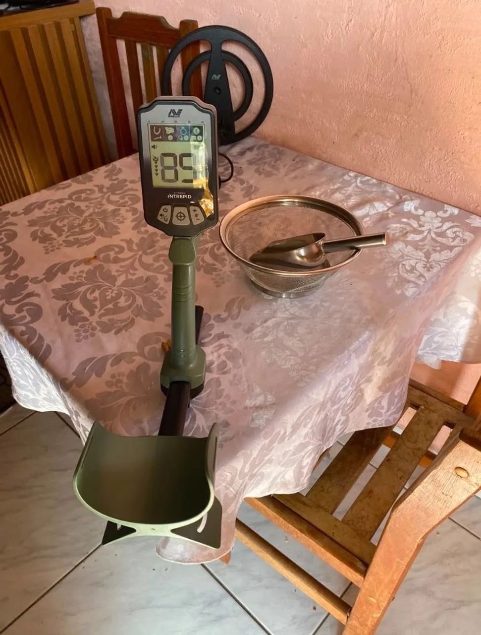 Minelab x-terra