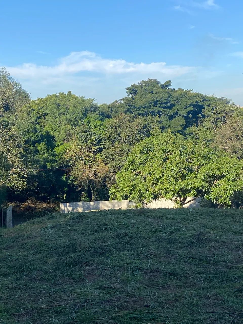 Terreno quintais imperador - Foto 4