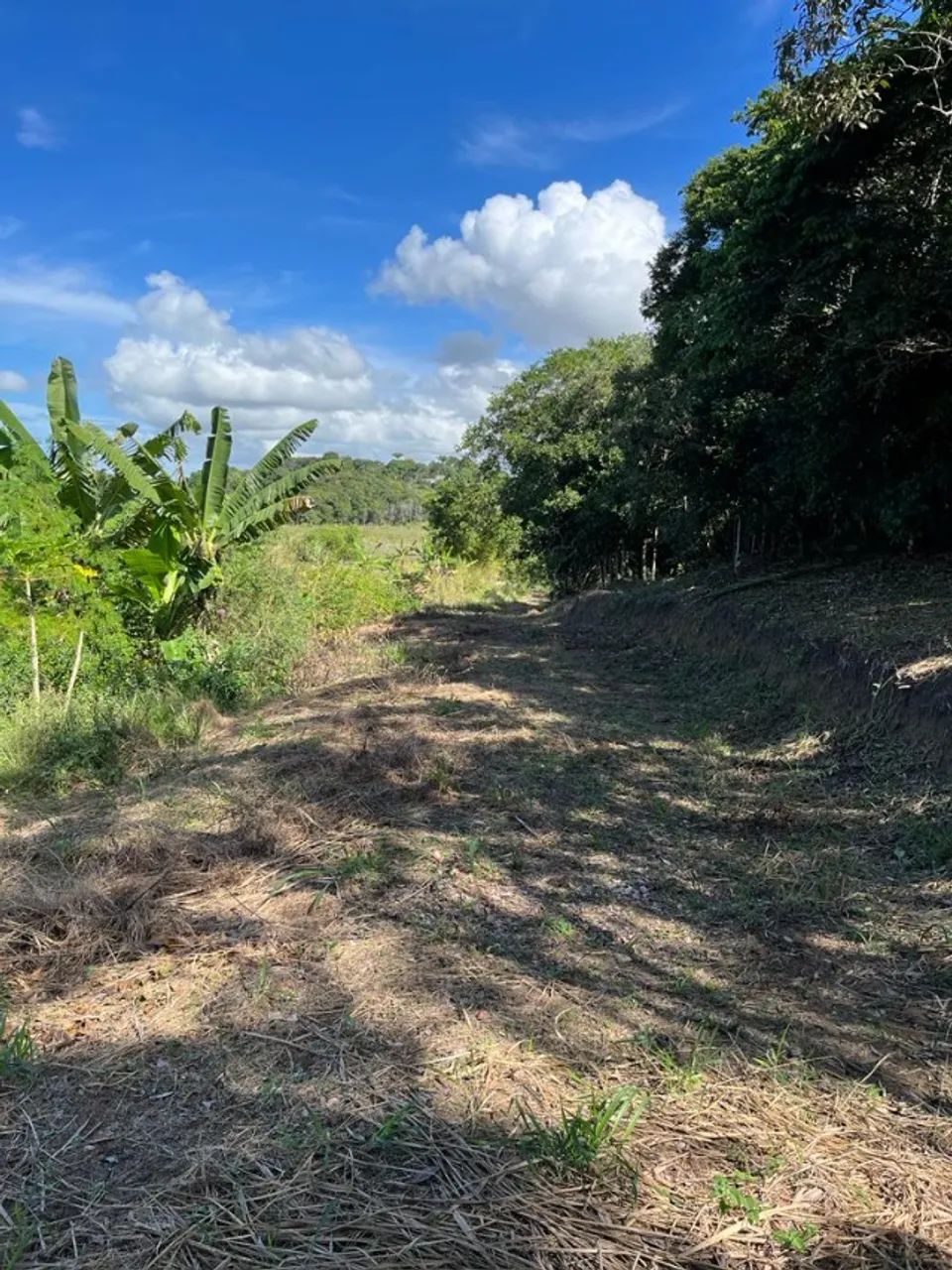 Terreno 11.000 m2  - Foto 4