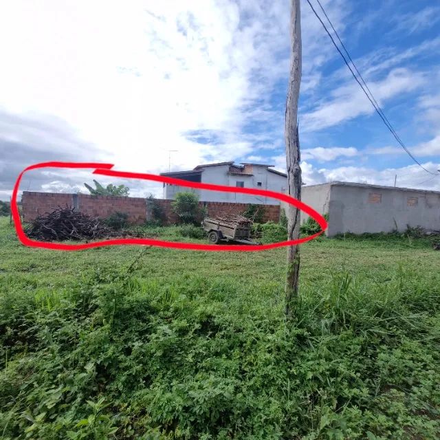 Terreno 8x26 murado e plano. - Foto 3