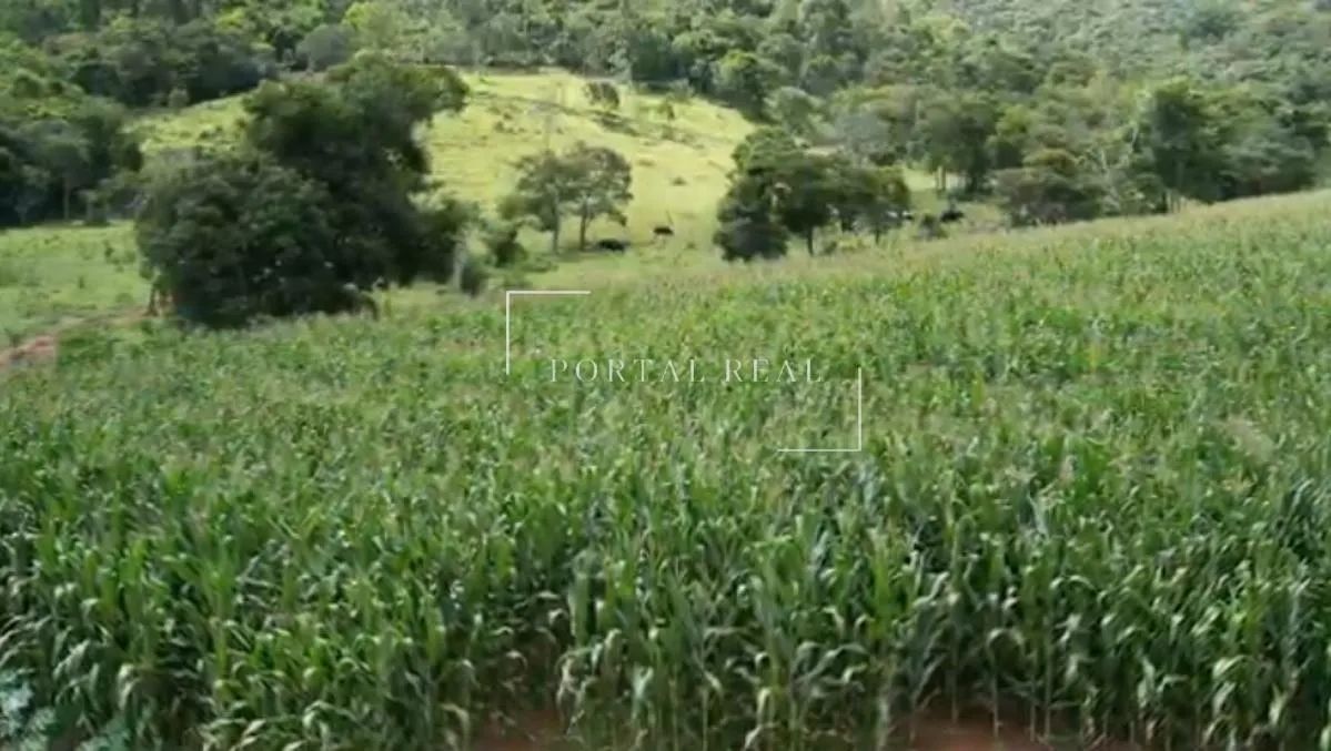 SITIO RURAL em Guapé - Minas Gerais, - Foto 4