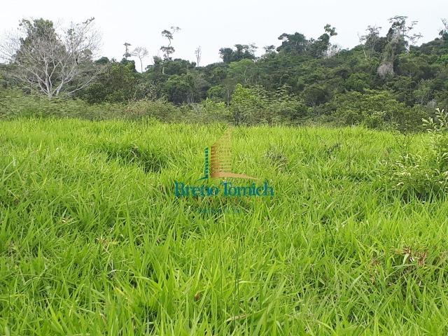 Fazenda á 15KM da balsa de Santo André - Foto 20