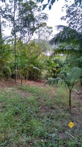 Casa, Sertão dos Correias, Tubarão-SC - Foto 15