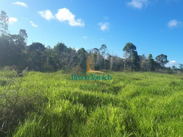 Fazenda á 15KM da balsa de Santo André - Foto 16