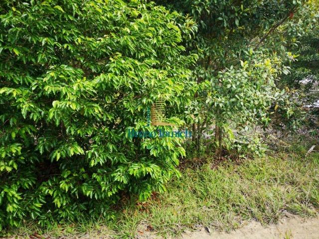 Fazenda á 3Km de Eunápolis - Foto 3