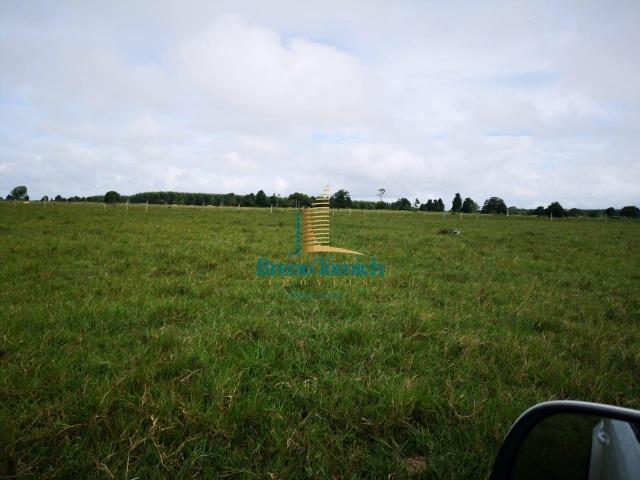 Fazenda á 3Km de Eunápolis - Foto 12