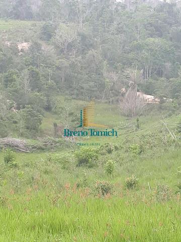 Fazenda á 15KM da balsa de Santo André - Foto 12