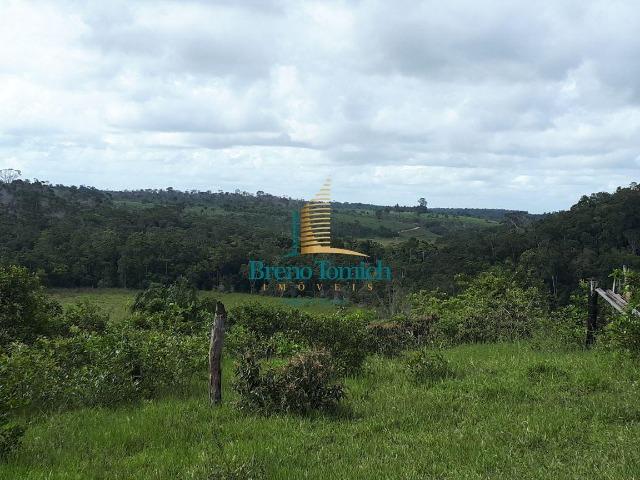 Fazenda á 15KM da balsa de Santo André - Foto 8