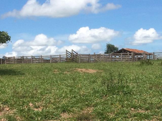 Fazenda 70 alqueires em Anicuns muito boa!!!