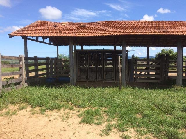 Fazenda 70 alqueires em Anicuns muito boa!!! - Foto 15