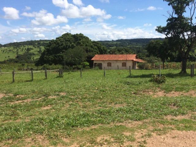 Fazenda 70 alqueires em Anicuns muito boa!!! - Foto 17