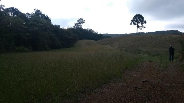 Sítio em Nova Petrópolis com 20,5 hectares - Foto 4