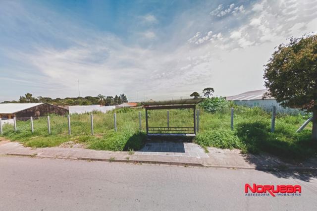 Terreno para alugar em Costeira, Sao jose dos pinhais cod:36066.001