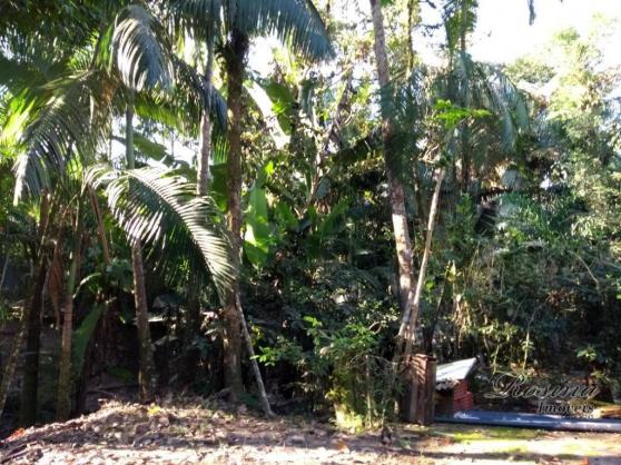 Chácara à venda, 1180 m² por r$ 120.000 - américa de cima - morretes/pr - Foto 4