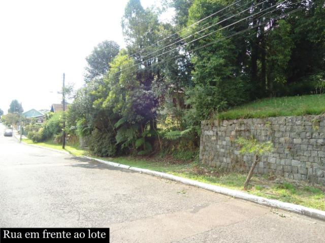 Terreno - Foto 3