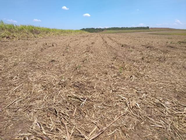 Área para soja em Balsas- MA, 12.500 hectares, boa de chuvas e logística!