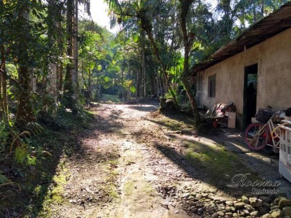 Chácara à venda, 1180 m² por r$ 120.000 - américa de cima - morretes/pr